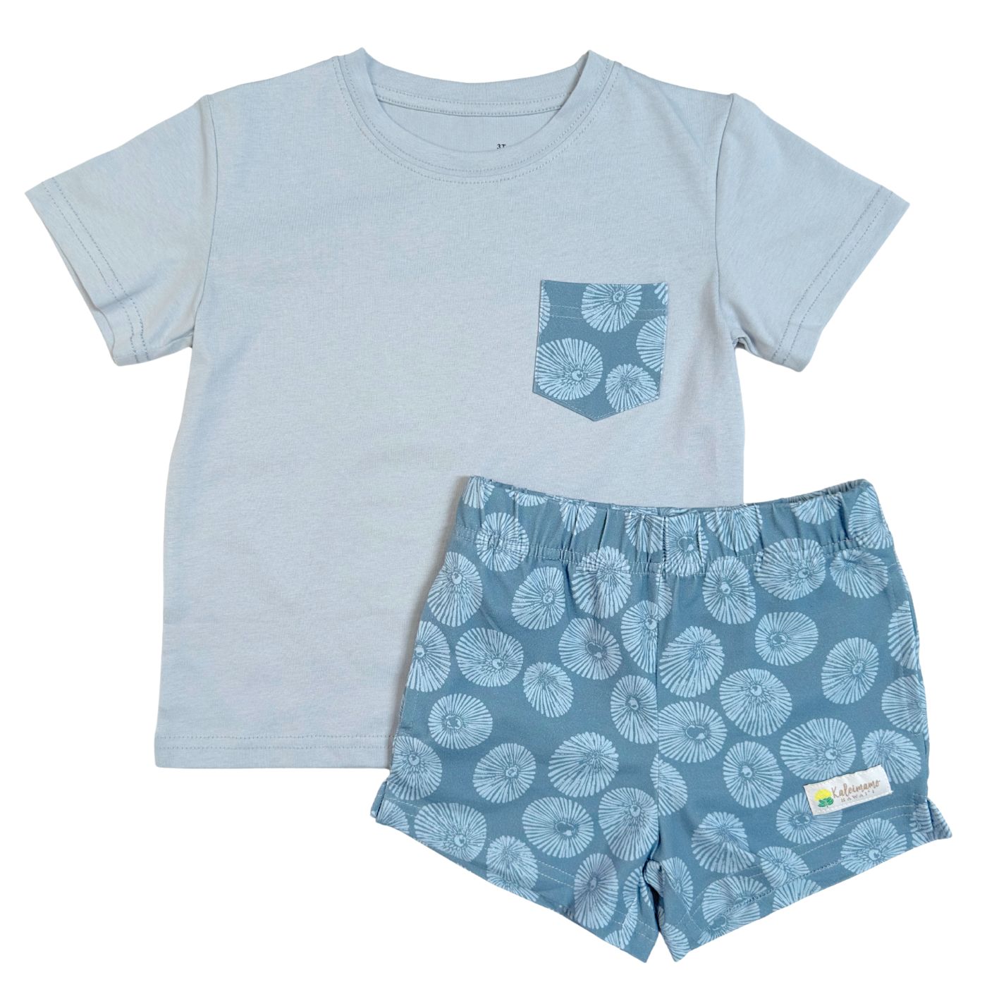 Pālule Pākeke & Lole Wāwae (Pocket Tee and Shorts Set)