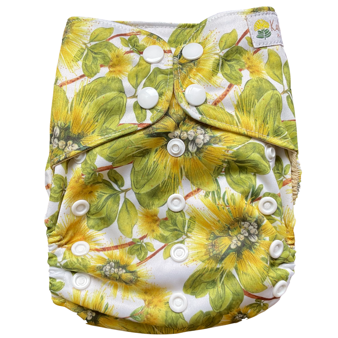 Kaiapa Paʻa (All-in-One Diapers)