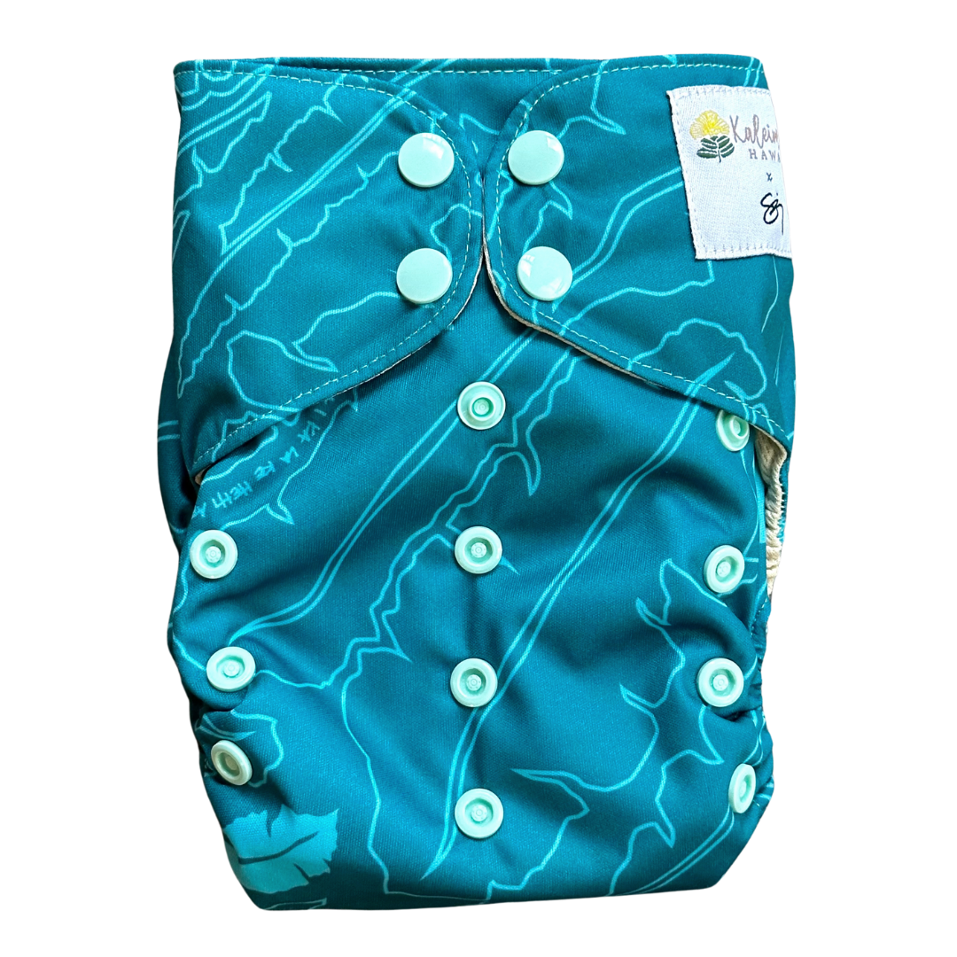 Kaiapa Paʻa (All-in-One Diaper)