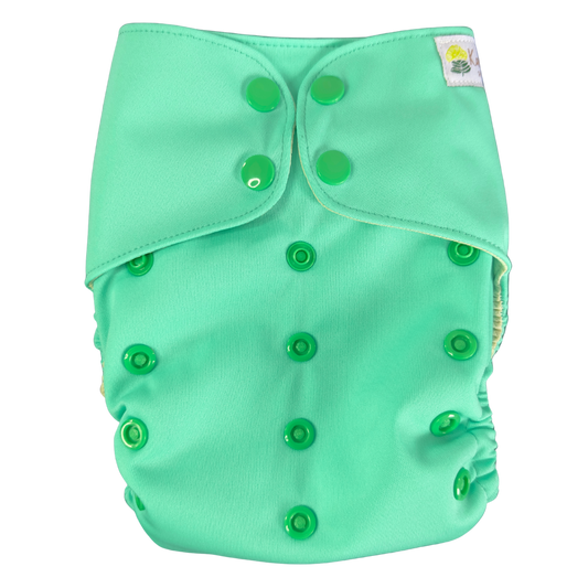 Kaiapa ʻAuʻau/Pākeke (Swim/Pocket Diaper)