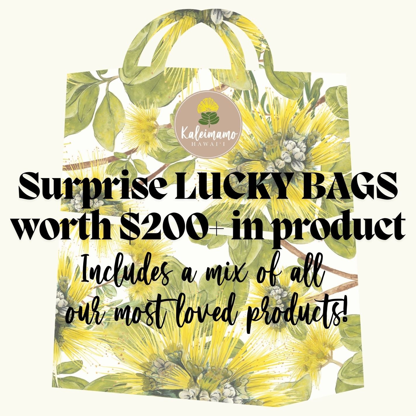 FUKUBUKURO (LUCKY BAGS)!